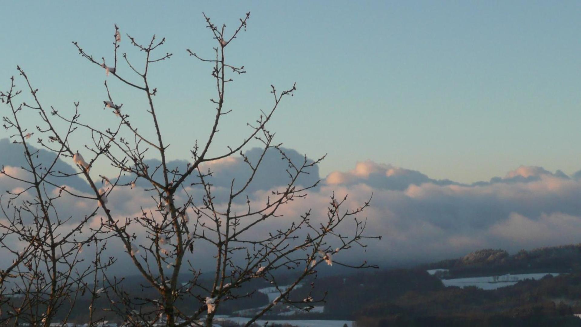 Ferienwohnungen Alpenblick Mit Garten -Panoramasauna- Kirchdorf im Wald 外观 照片